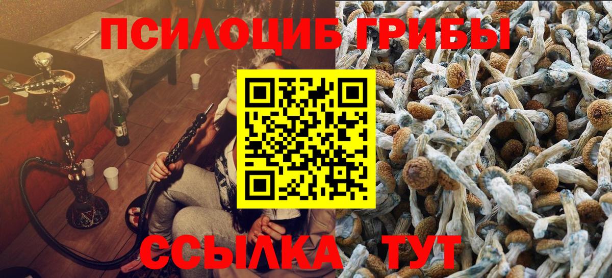 Галлюциногенные грибы MAGIC MUSHROOMS Новочеркасск